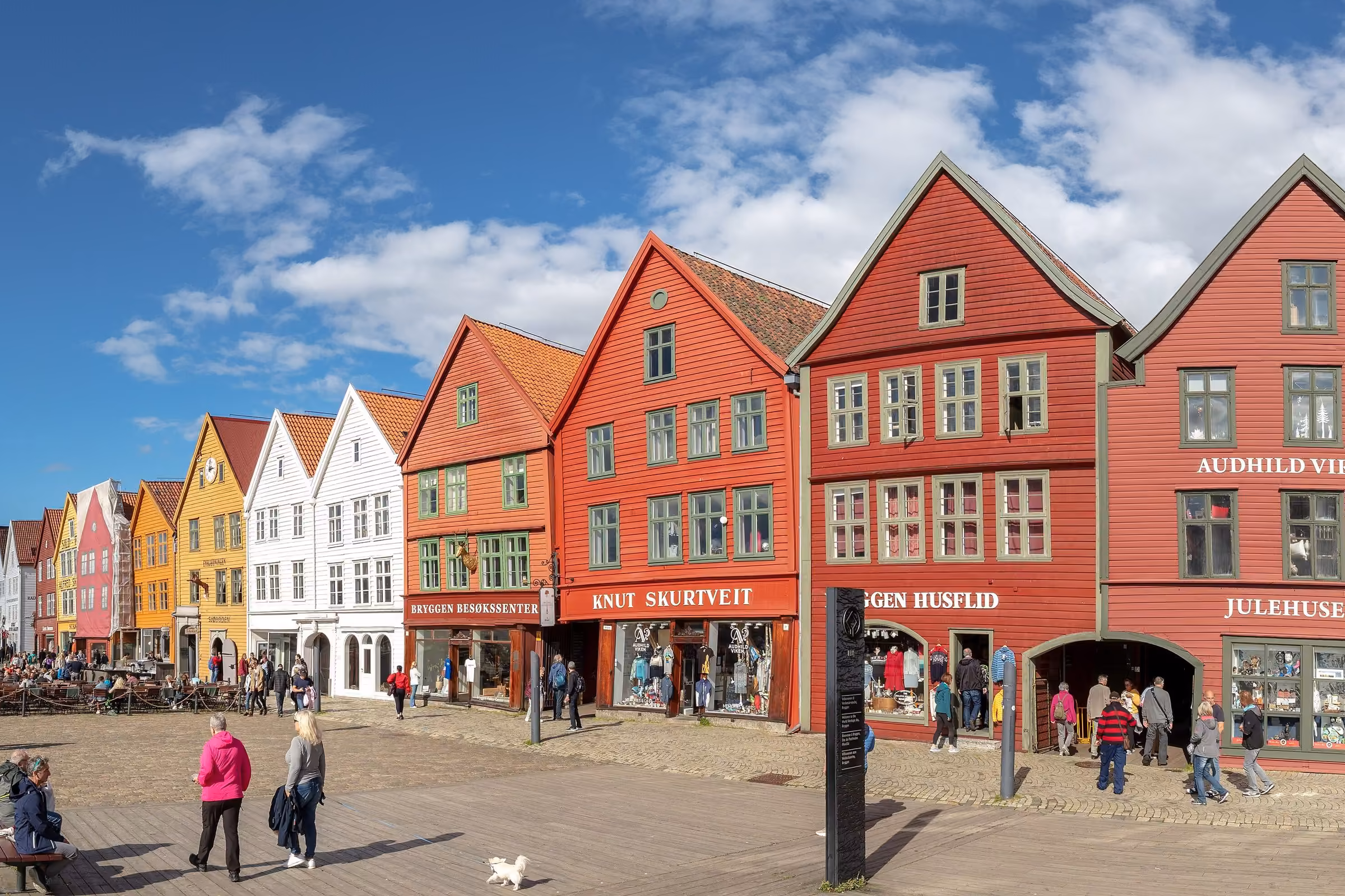 Bergen skyline