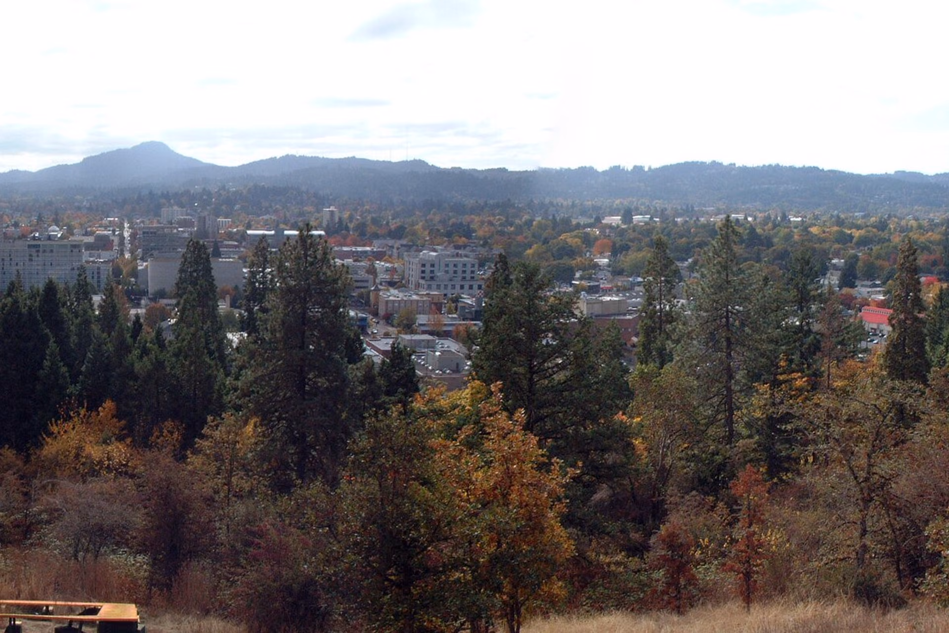 Eugene skyline