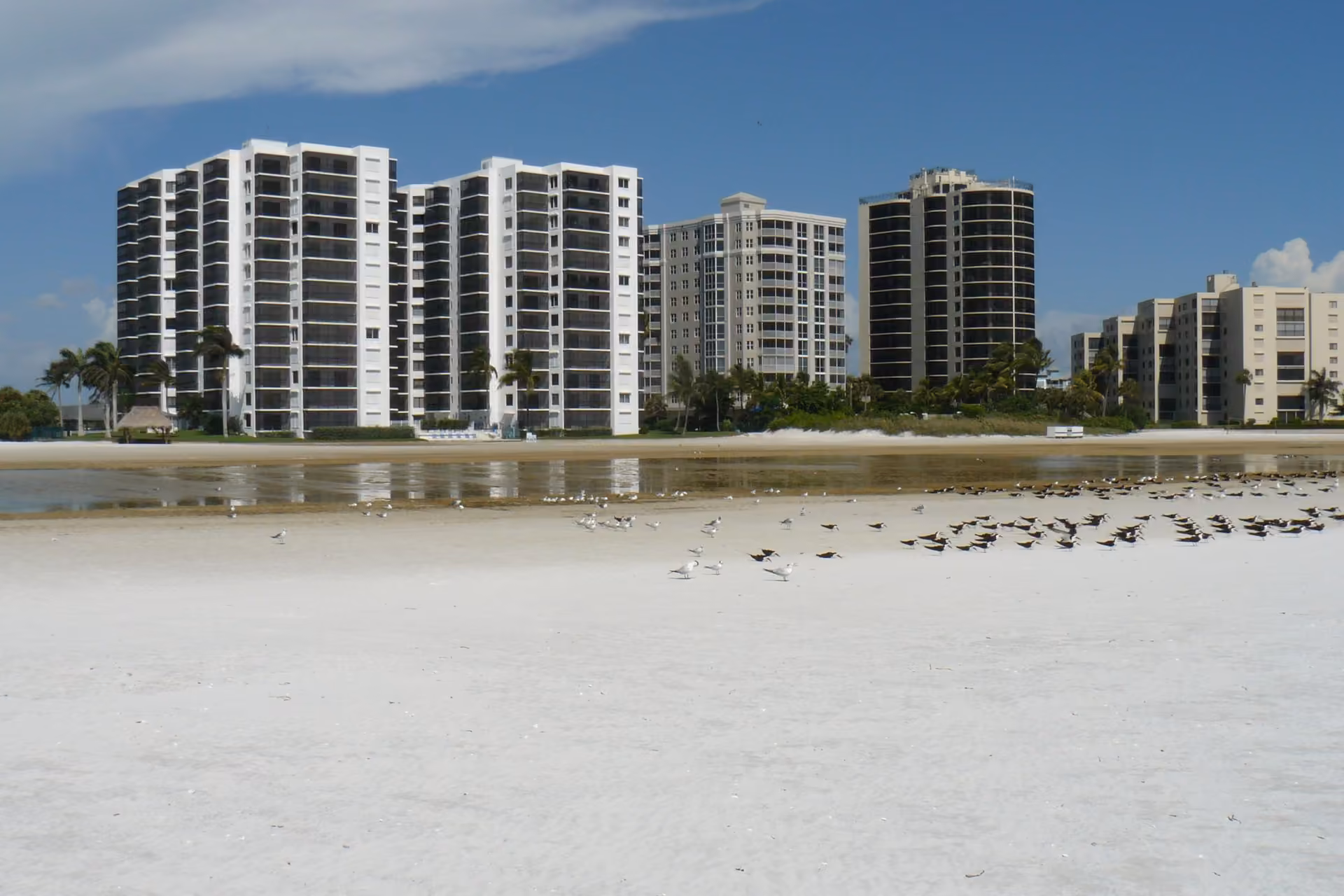 Fort Myers skyline
