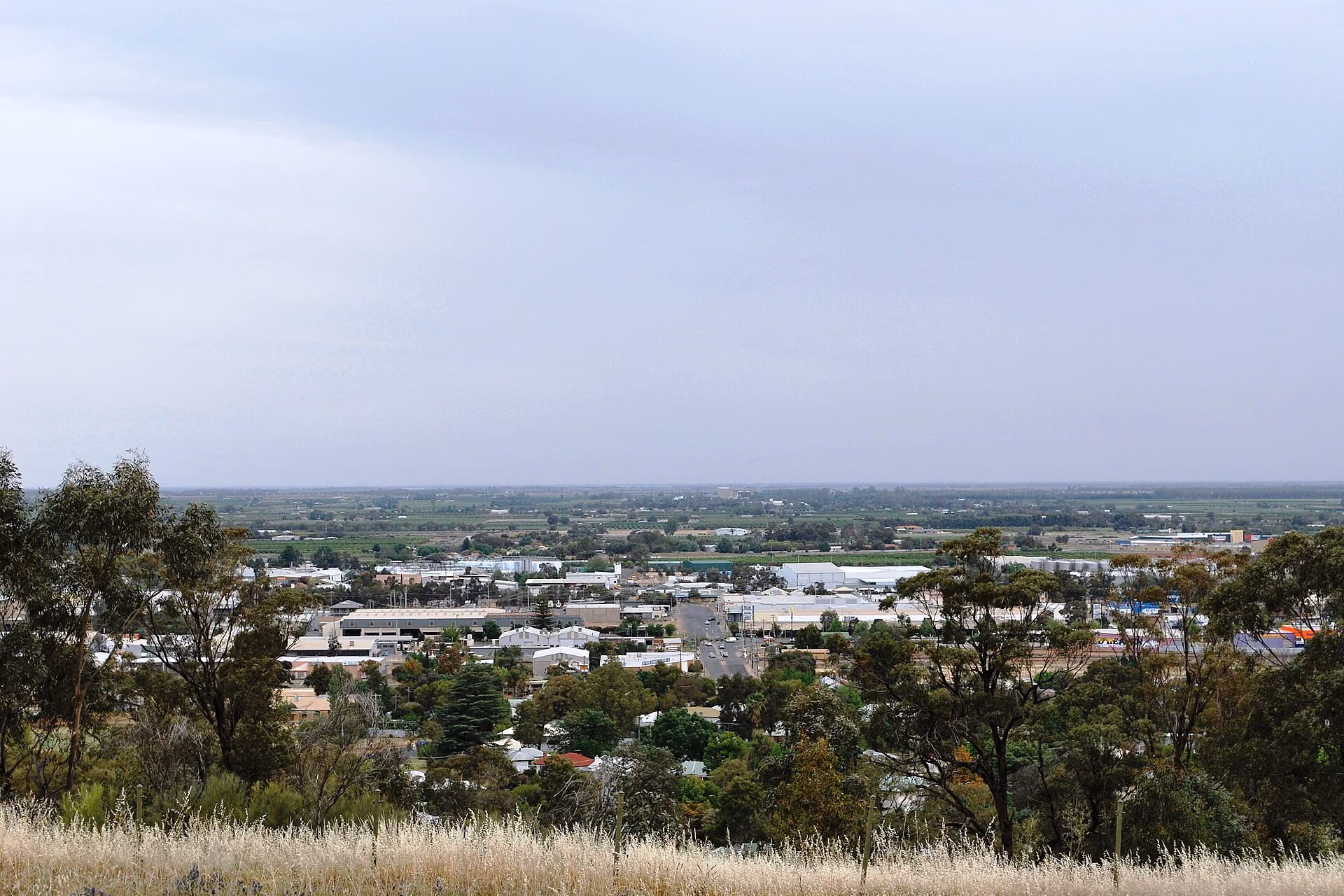 Griffith skyline