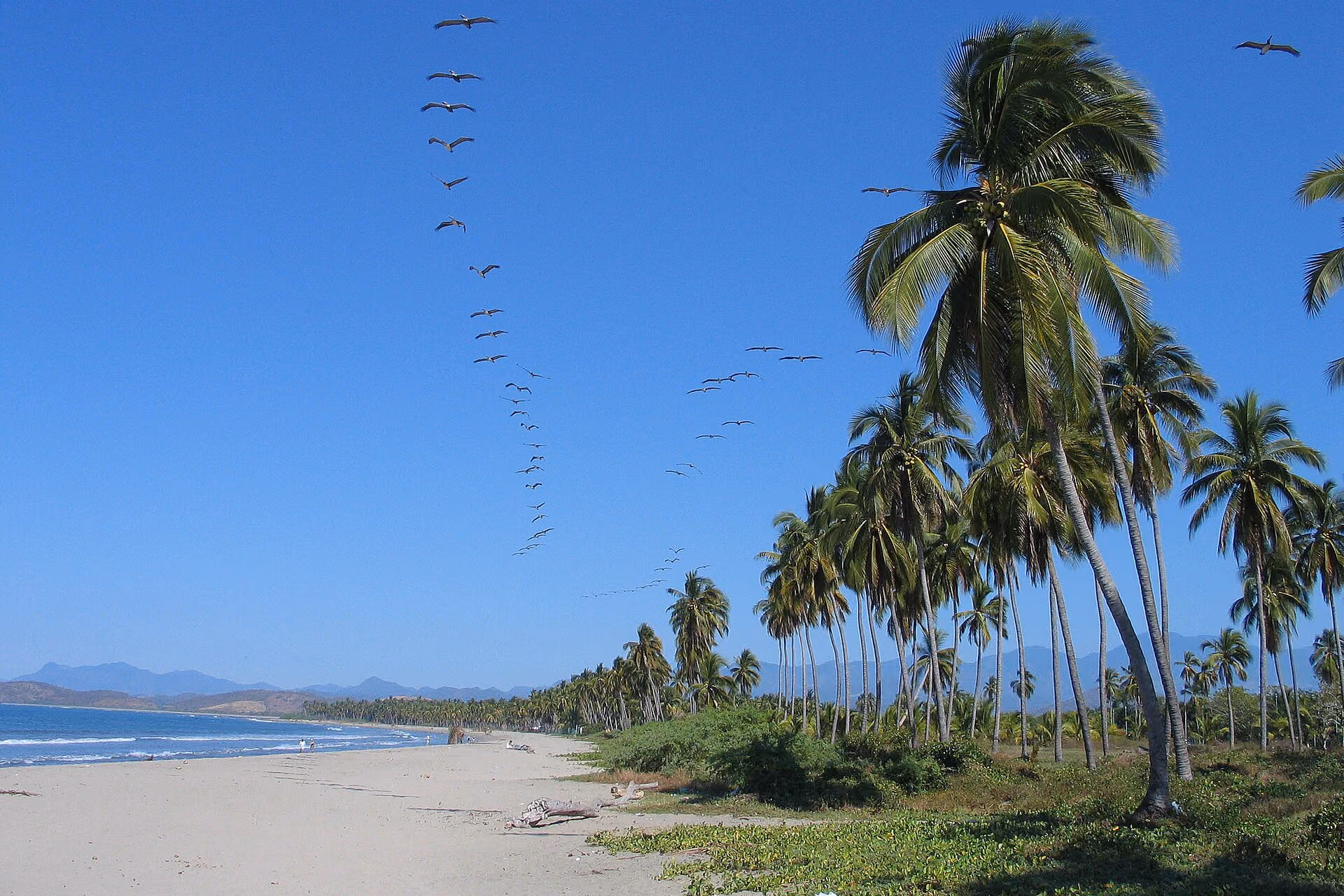 Ixtapa Zihuatanejo skyline