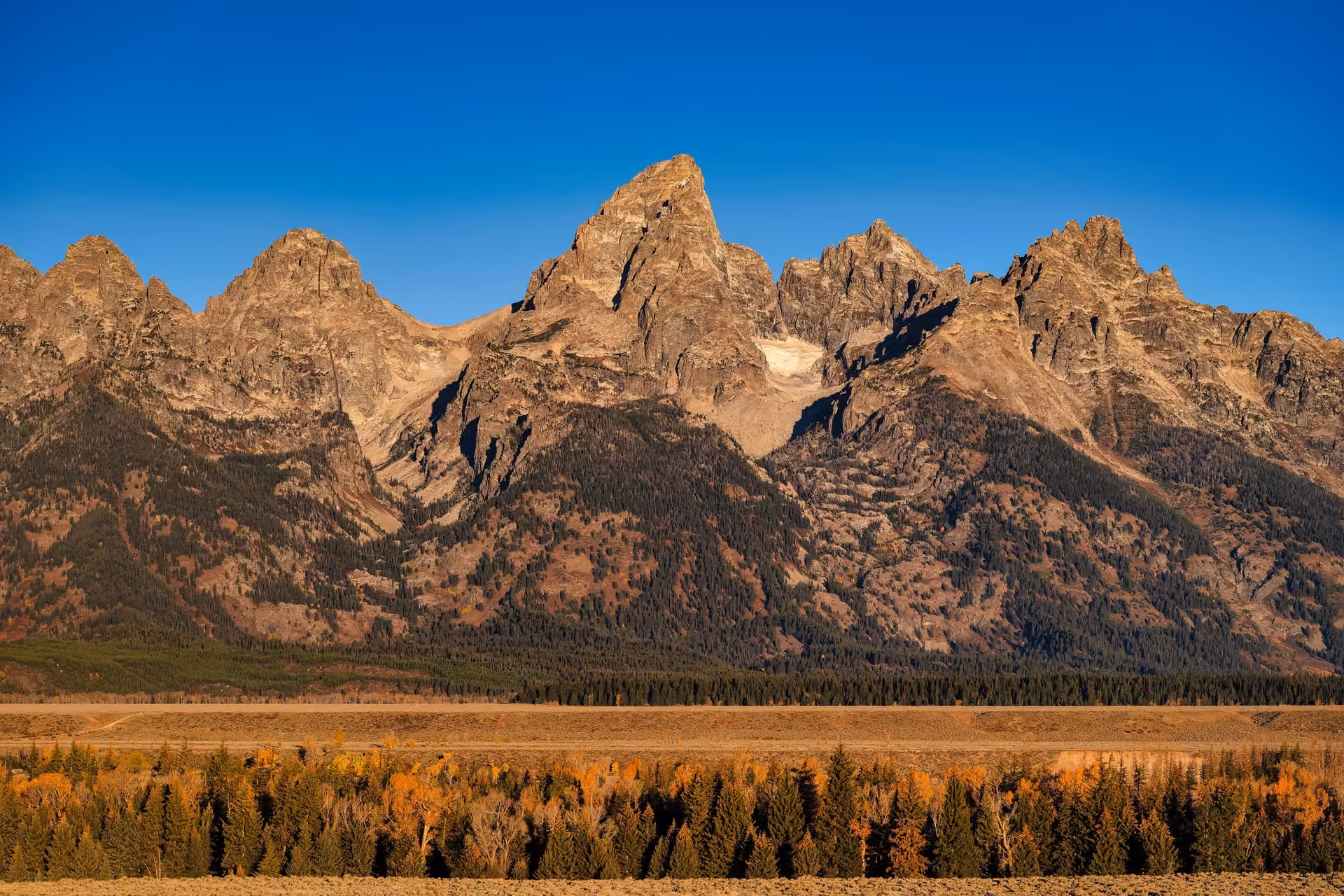 Jackson Hole skyline