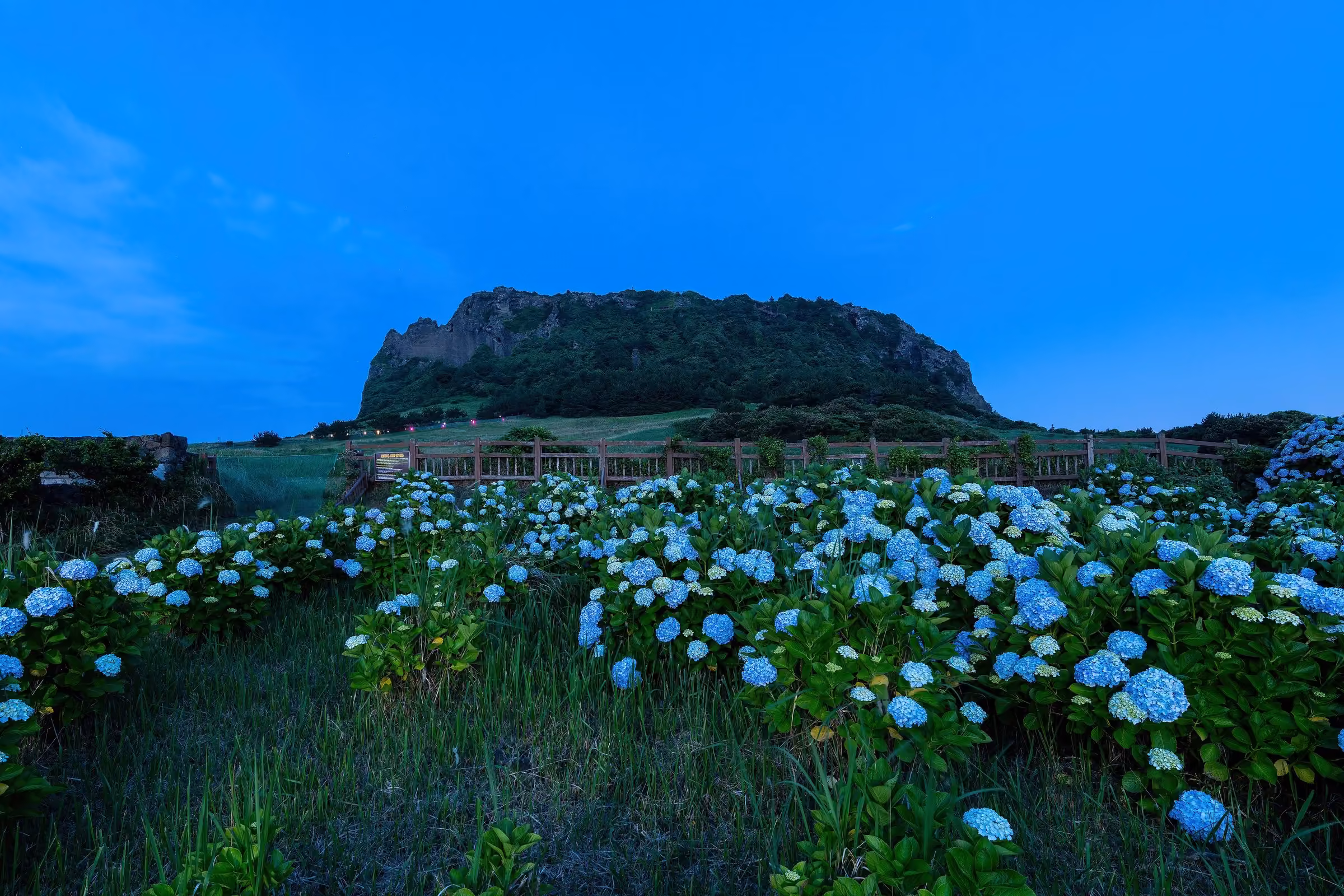 Jeju skyline