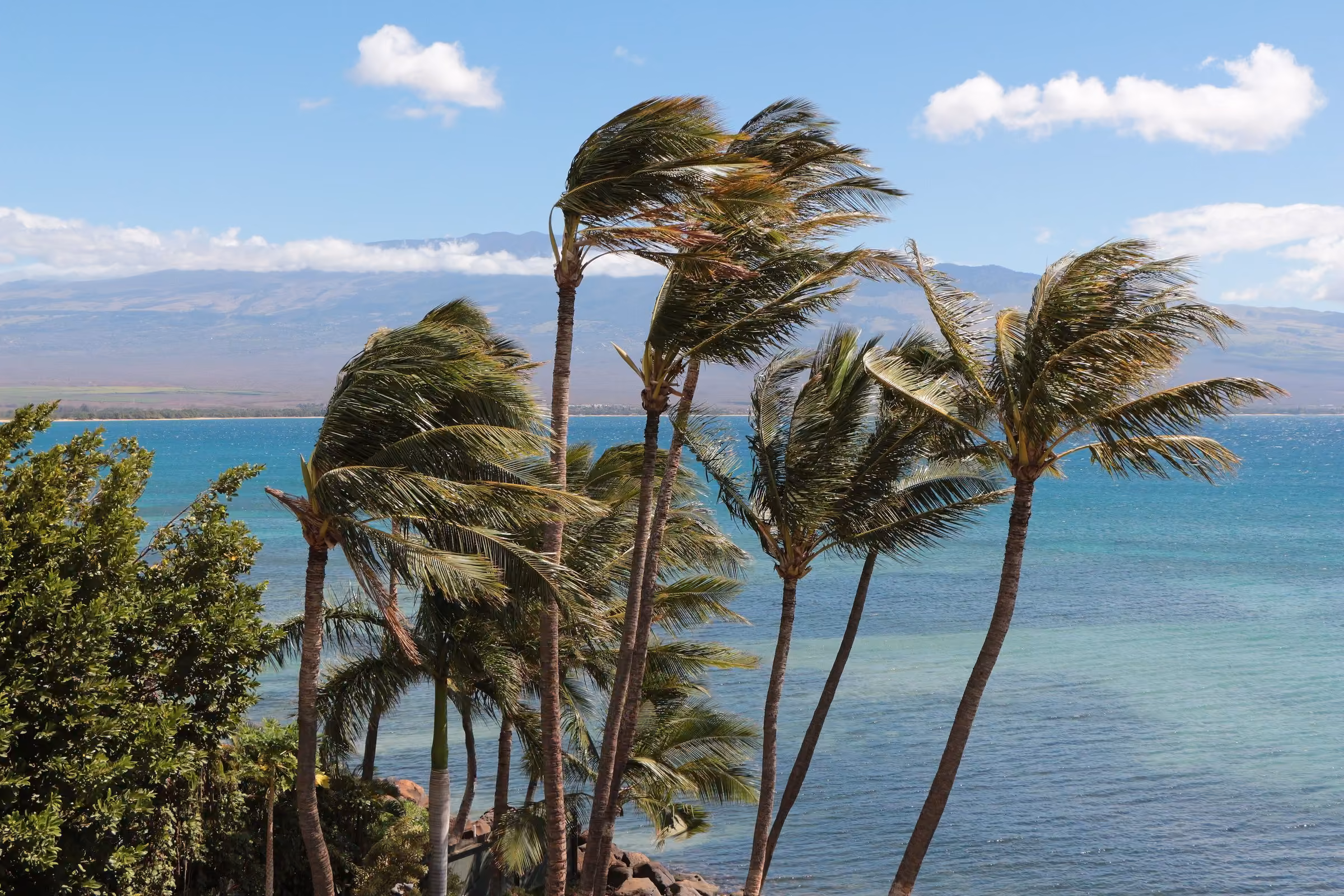 Kahului skyline