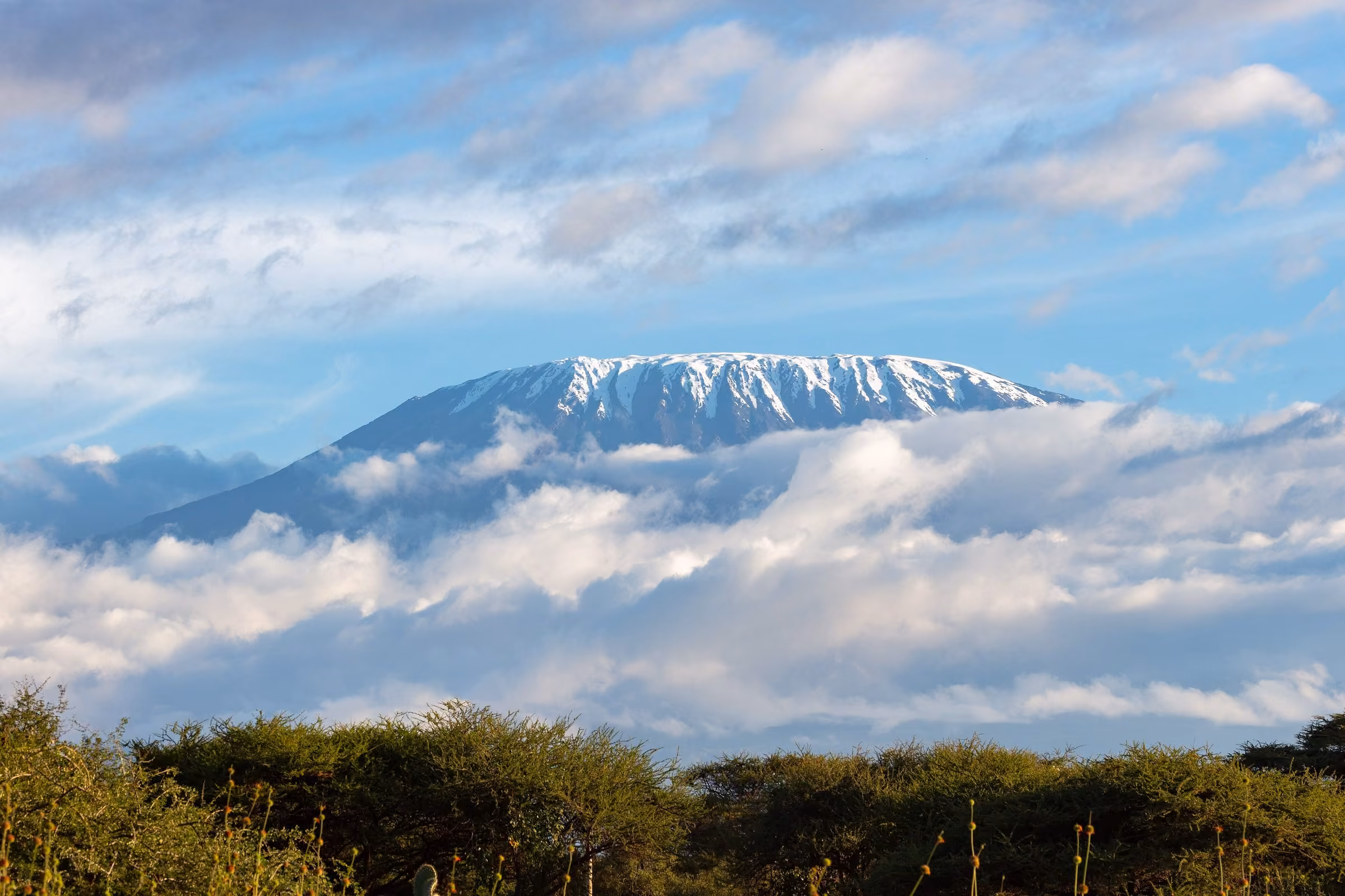 Kilimanjaro skyline