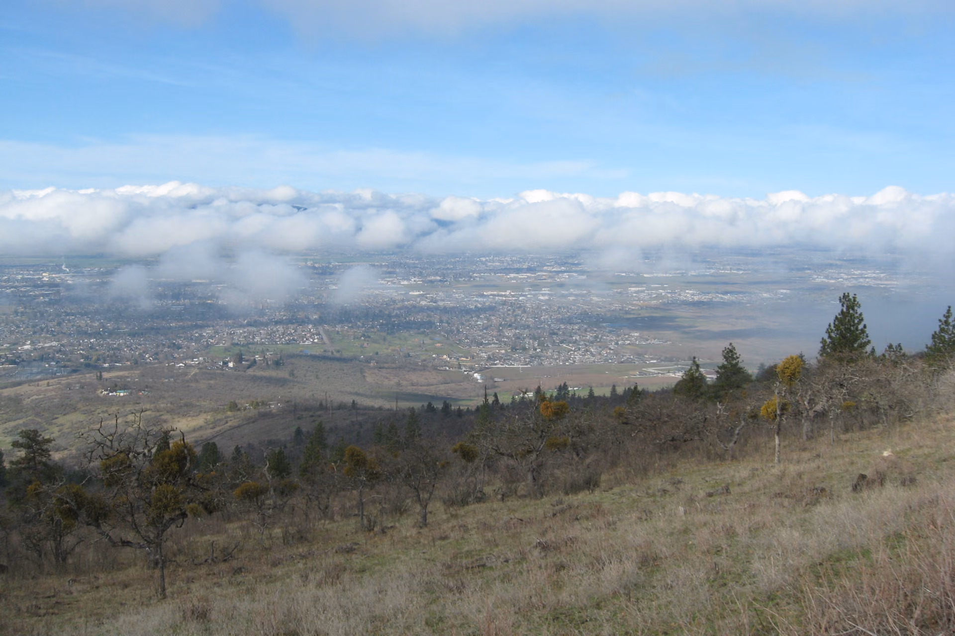 Medford skyline