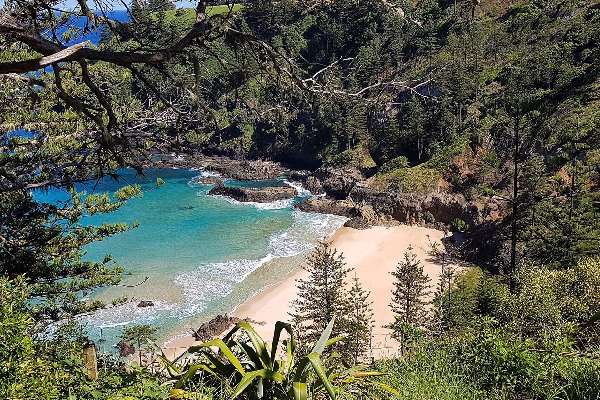 Norfolk Island skyline