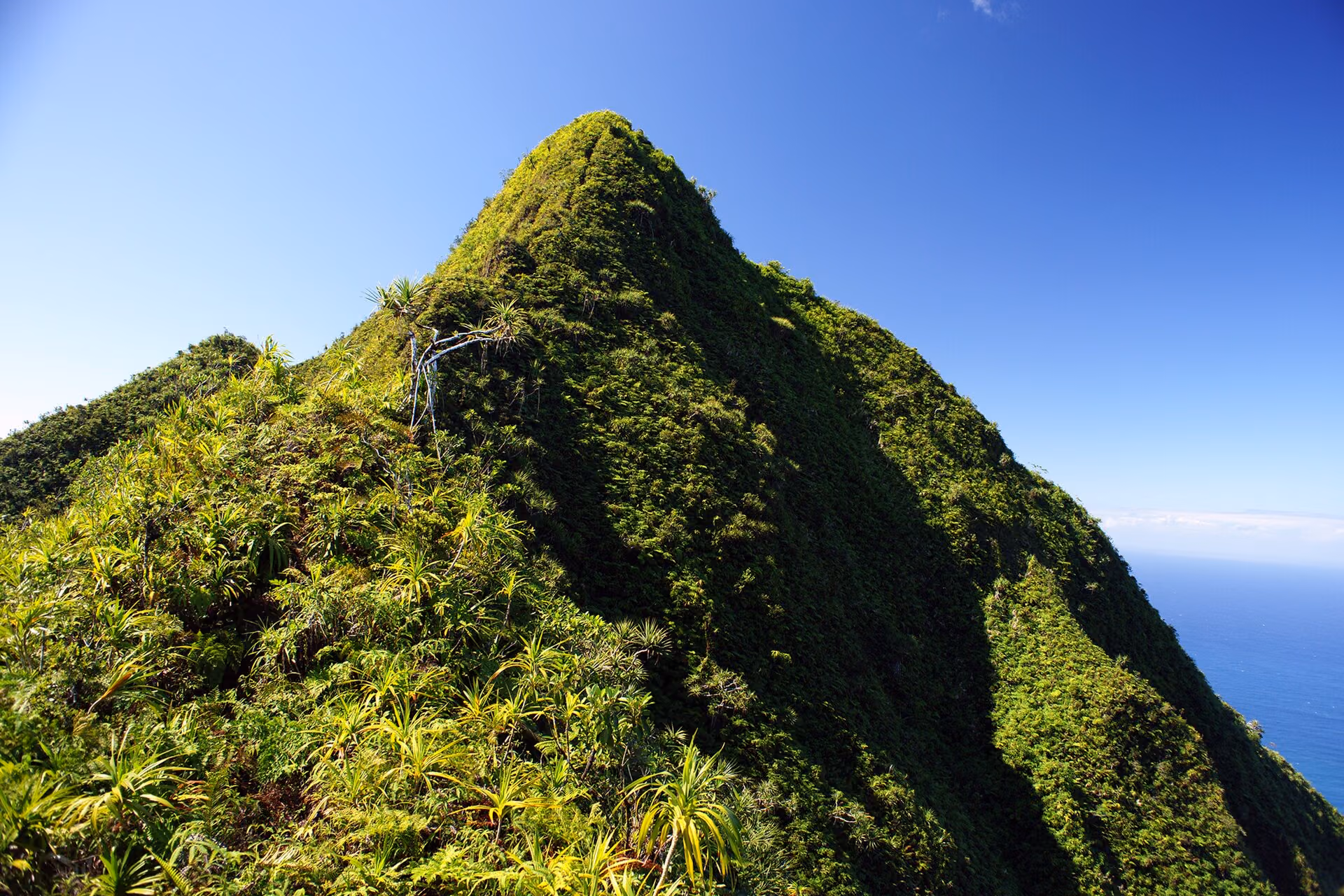 Pago Pago skyline