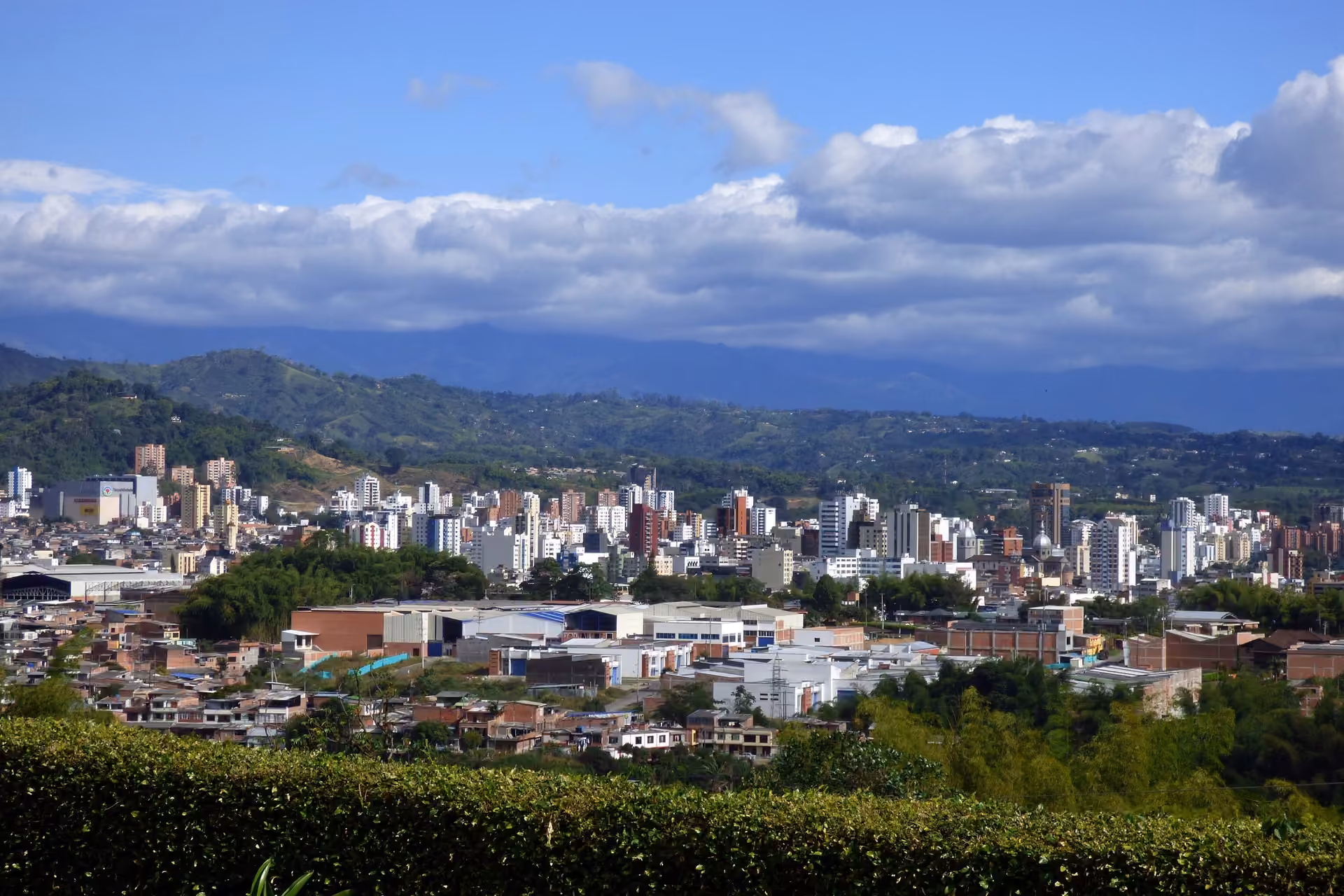 Pereira skyline