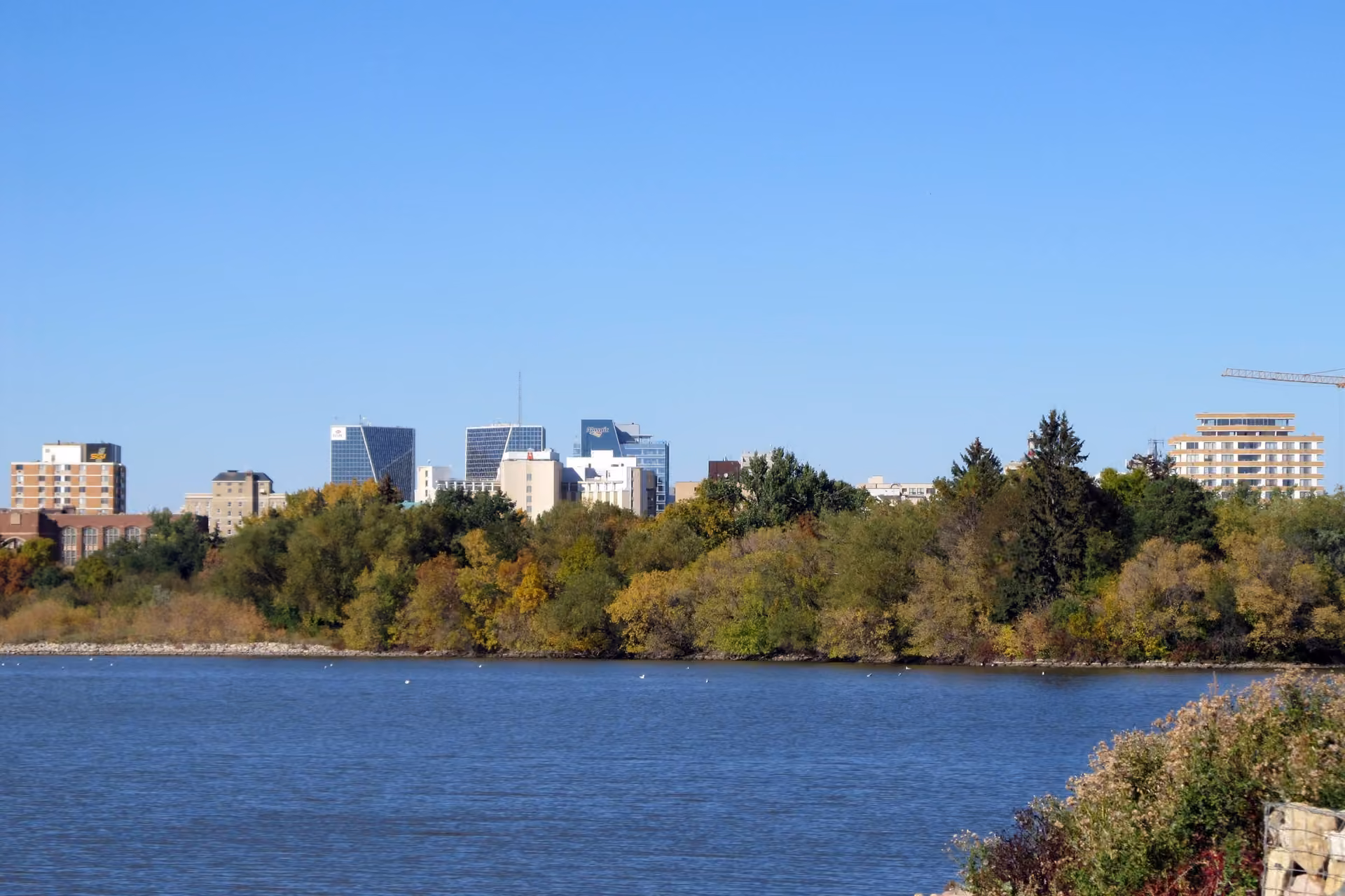 Regina skyline
