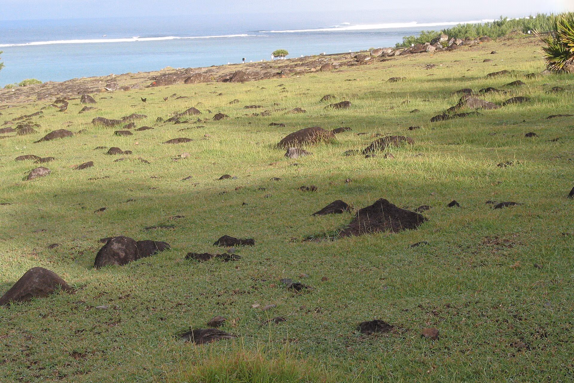 Rodrigues Island skyline
