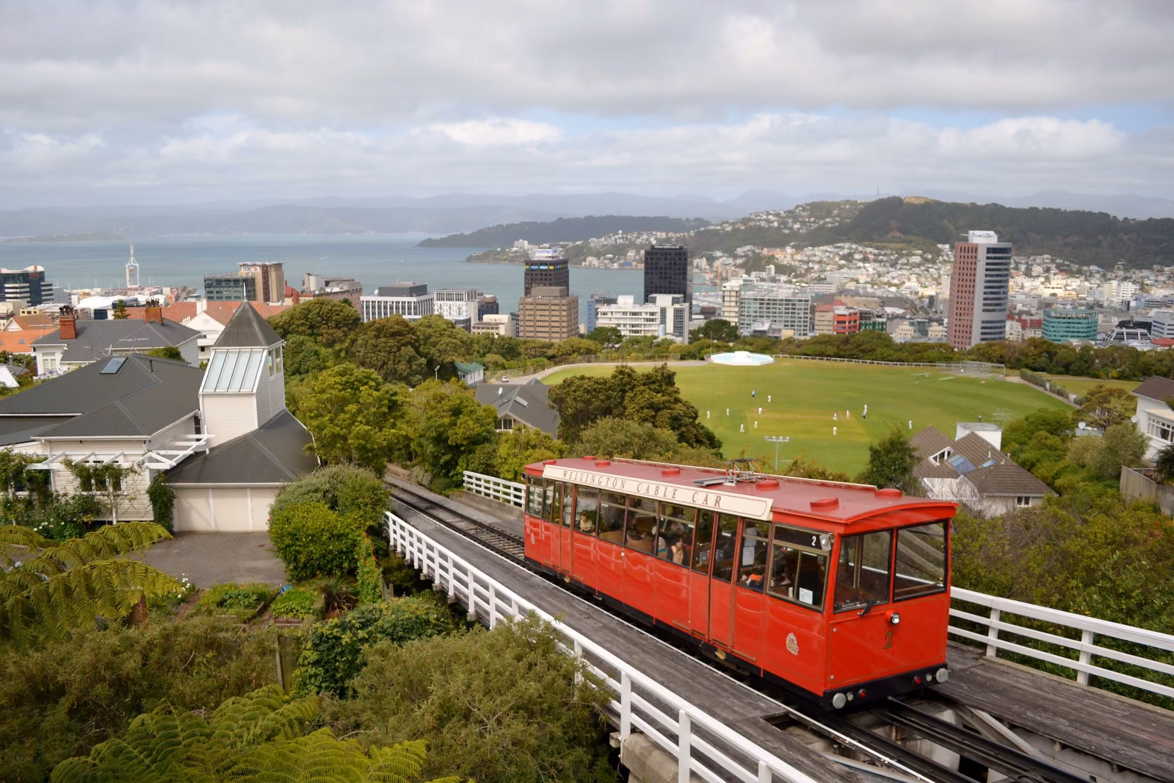 Wellington skyline