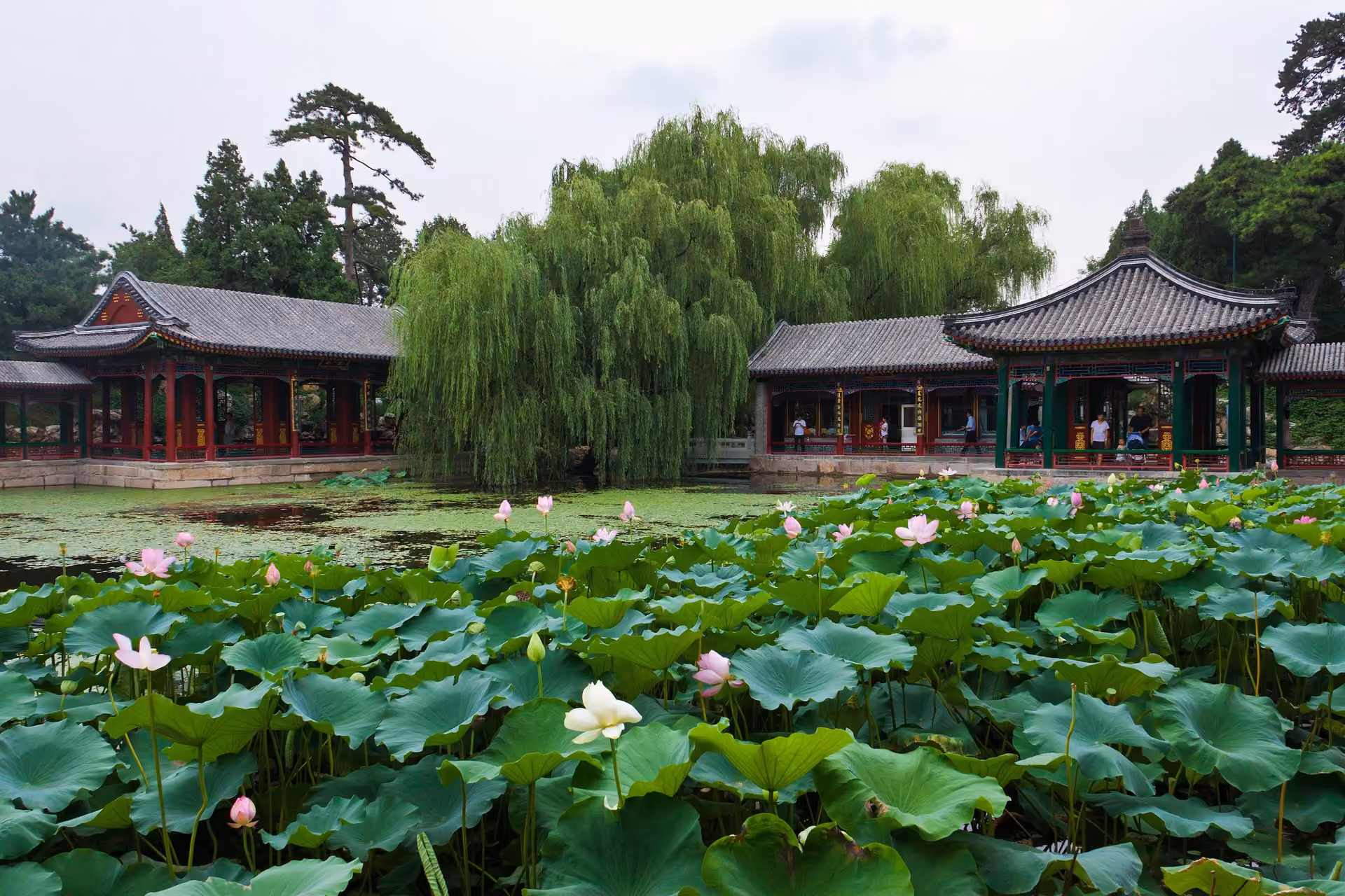 Wuxi skyline