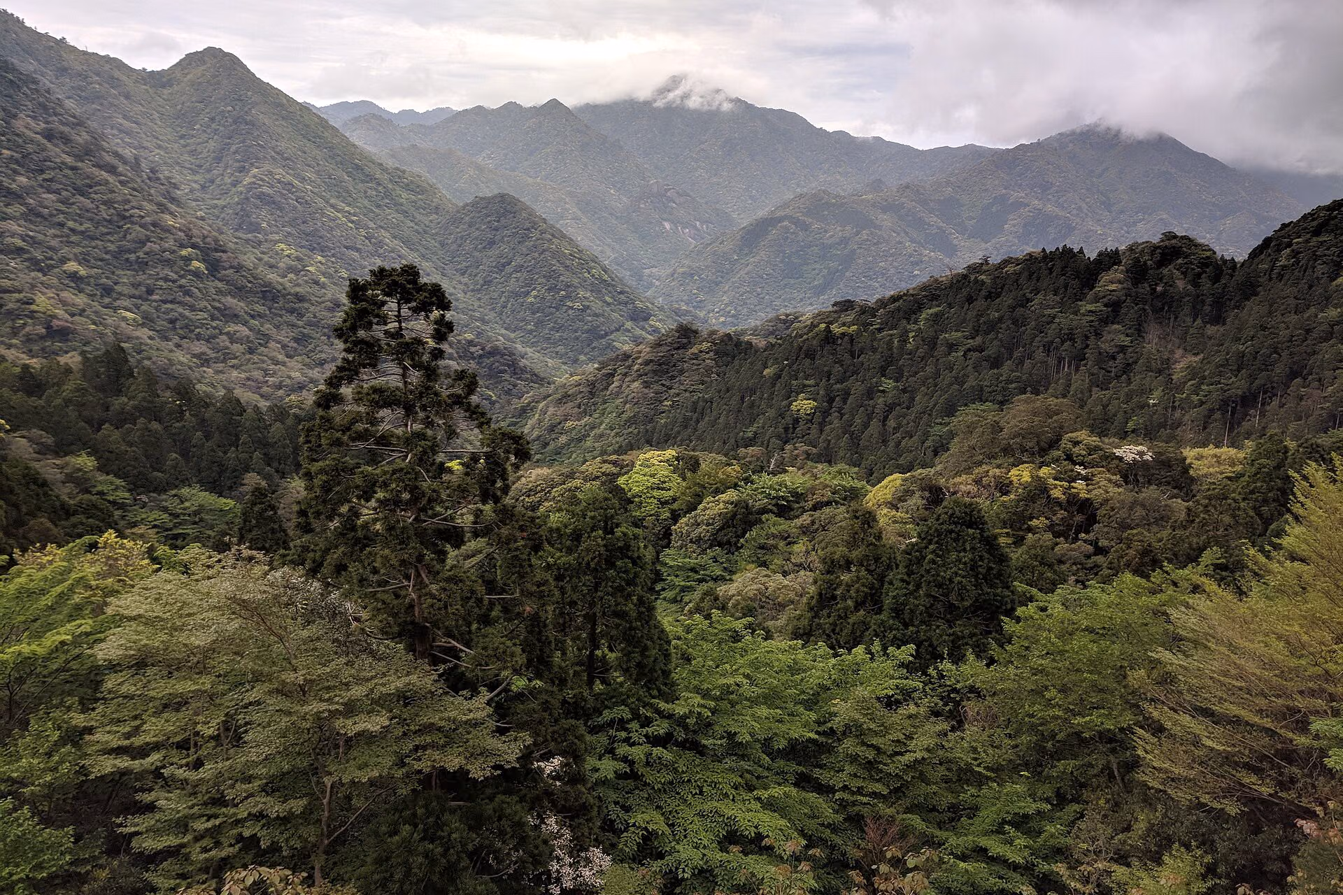 Yakushima skyline