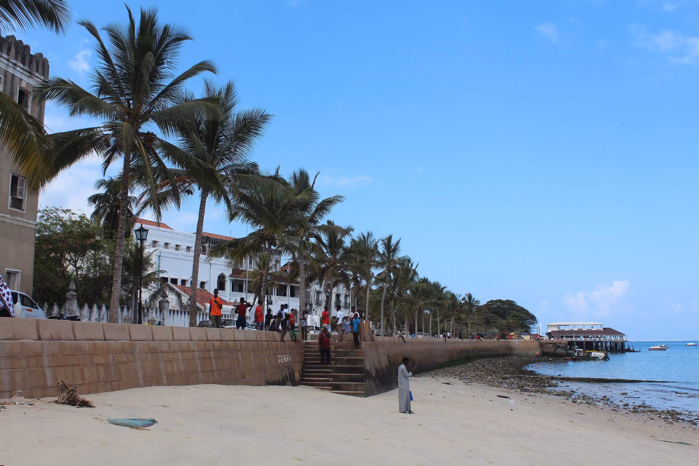 Zanzibar skyline